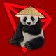 pandawifdouli logo