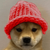 dogwifredhat logo
