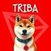 TronShiba logo
