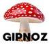 GIPNOZ GRIB  logo