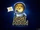 DOGE MOON logo