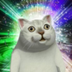 DanceCat logo