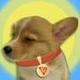 SUNPUP logo