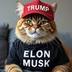 Republican Cat logo