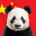 Chinese Coin logo