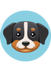 SENNI logo
