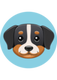 SENNI logo