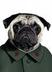 Woof ZeDong logo