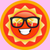 sunwitglasses logo