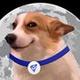 MoonDog logo