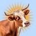 Sunbull logo