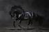 Dark Horse logo