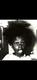 BUCKWHEAT logo
