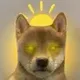 dogwifsun logo