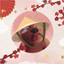Chinese Beaver logo