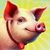 Sunpig logo