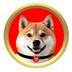 Akita-Sun logo