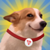 SUNDOG_V2 logo