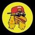 SunBirdDog logo