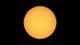 SUNFUN logo