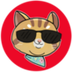 Ginnan the Cat logo