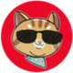 Ginnan the Cat logo