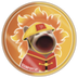 SUNPOPCAT logo