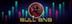 BULL.TRX logo