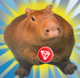 Sunbara logo