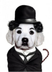 Charli Pawplin logo