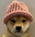 Dog wif hat logo