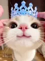 灵感喵