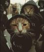 Purra
