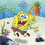 SPONGE