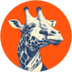 Bogus logo