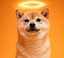 ‮Dog