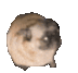 Happy Dog logo