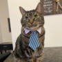 MILO