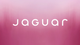 GayJaguar logo