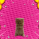 Pumpcat logo