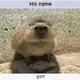His name gort  logo