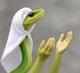 Praying snake logo