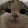 derpy