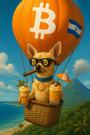 Icona token