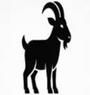 SCAPEGOAT