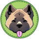 Gatsby - ELON MUSK'S DOG logo