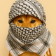 Wallah logo
