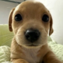 BILLY
