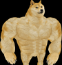 Token icon