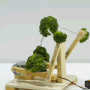cybroc